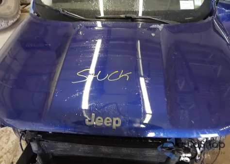 2016 Jeep Renegade Trailhawk from USA, damaged, VIN ZACCJBCT0GPD29118